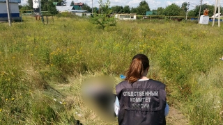 Утром на Кумысной поляне женщина нашла труп избитого мужчины