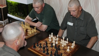 Больше тысячи саратовских осужденных одновременно сыграли в шахматы