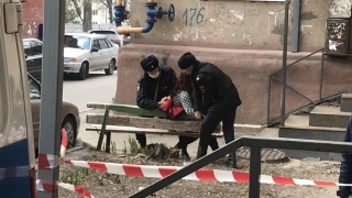 Покусавшая полицейских хозяйка "собачьей квартиры" на Шелковичной арестована