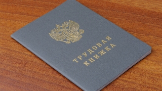 Почти две трети россиян не хотят заводить электронные трудовые книжки