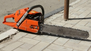 В Саратове у дровосека украли бензопилу, сучкорез и защитную каску