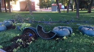 Очевидцы: в Радищевском сквере дети свалили цветочную композицию