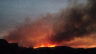 В Саратовской области горит лес