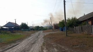 Лес под Саратовом тушили 80 человек. Комментарии МЧС, зампреда и главы района