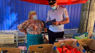 В Саратове составлено около сотни протоколов на незаконных торговцев