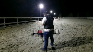 Под Саратовом в загоне для лошадей погиб молодой сварщик