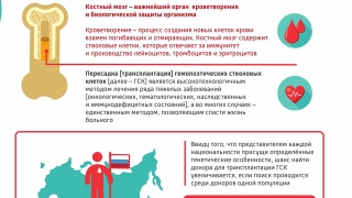 Волонтеры просят саратовцев стать донорами костного мозга