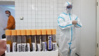 Астма может защитить от тяжелой формы коронавируса