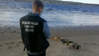 Грибник нашел на берегу Волги труп утопленника