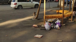 Саратовцы выносят мусор к арт-объекту на 2-й Садовой