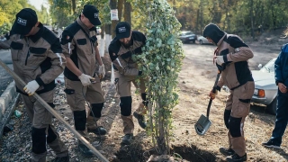 В саратовском Парке покорителей космоса начали сажать деревья
