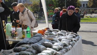 Саратовцев приглашают на субботние ярмарки - кроме Театральной площади