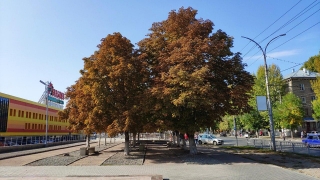 Саратовцев ждет до +22° без дождя