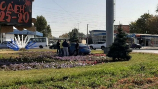 Саратовцы заметили на 3-й Дачной иномарку посреди цветов