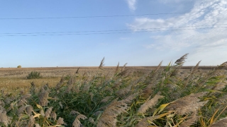Саратовцев ждет воскресенье с легкими облаками