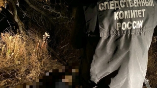 В поле под Саратовом комбайнер нашел человеческие останки