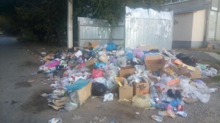 Жители Заводского района требуют вернуть мусорные баки