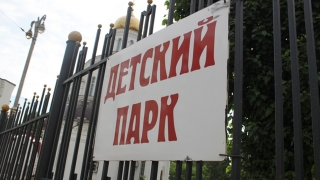 В Детском парке Саратова вырубят 28 деревьев
