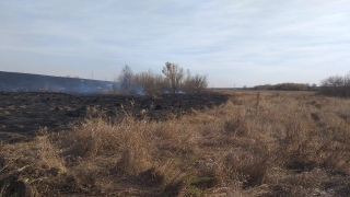 Под Саратовом горят 15 гектаров леса. Огонь угрожает селу