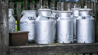 В Саратовской области упали добыча газа и производство молока
