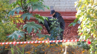 "С целью причинения смерти своим дочерям". В Саратове мать выбросила детей из окна