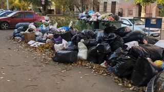 В центре Саратова коммунальщики не вывозят мусор