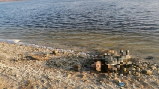 На берегу Волги рыбак обнаружил мертвого мужчину