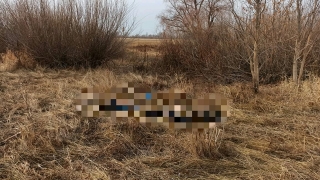 Саратовцы собирали валежник и нашли труп мужчины