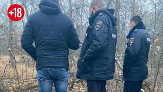 На окраине саратовского поселка браконьеры убили и разделали лося