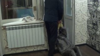 Убийство 22-летней девушки. Обвиняемый арестован, он заявил о раскаянии