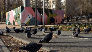 Тепловая камера "Т Плюс" в центре Саратова станет арт-объектом