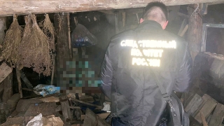 Два саратовца похитили должника и держали его в погребе без лестницы