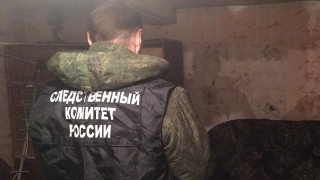 В доме под Энгельсом нашли тело зарезанной женщины