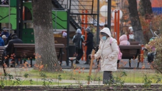 У пенсионеров проверят дополнительные доходы
