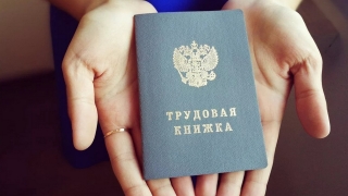 Большинство россиян отказались от электронных трудовых книжек