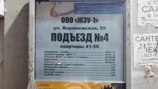 Жители пятиэтажки просят очистить подвал от зловонных стоков
