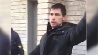 Пьяный саратовец выбросил собаку с 4-го этажа. Возбуждено уголовное дело