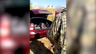 Ребенок погиб в скатившейся в пруд машине. Его дядя получил 1,5 года условно