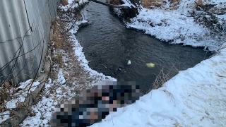 Из воды Малыковки достали тело неизвестного утопленника