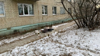 В Петровске около пятиэтажки прохожая увидела труп женщины