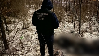 В Саратове в лесопосадках прохожий нашел труп неизвестного