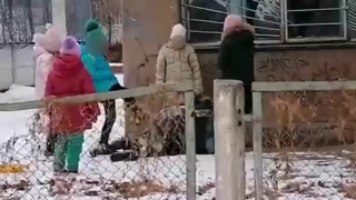 Третьеклассницы устроили "бой" у здания саратовской школы