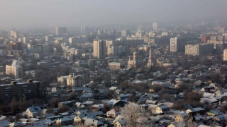 Ученые: в небе над Саратовской областью летали ящеры