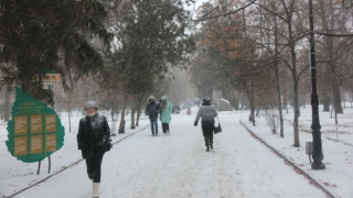Последнее воскресенье года пройдет при нуле