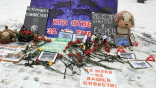 Саратовские зоозащитники призвали остановить убийства животных