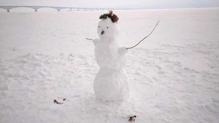 Снегопад и метели, ночью до -27°. Саратовцев ждет непростая неделя