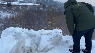 В овраге на Соколовой горе обнаружен труп мужчины в мешке