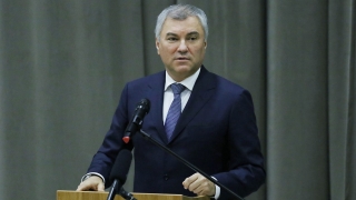 Вячеслав Володин: "Как можно спрашивать с директора школы за очистку снега?"