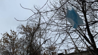 Масочный режим. Оштрафованы еще 74 саратовца и администратор кафе