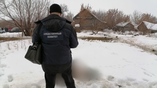 Под Хвалынском бык насмерть забодал своего хозяина